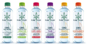 Pure Cure - Pine Express 500ml